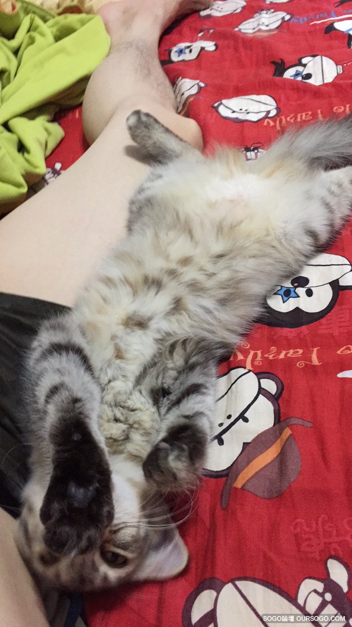 來擊掌
